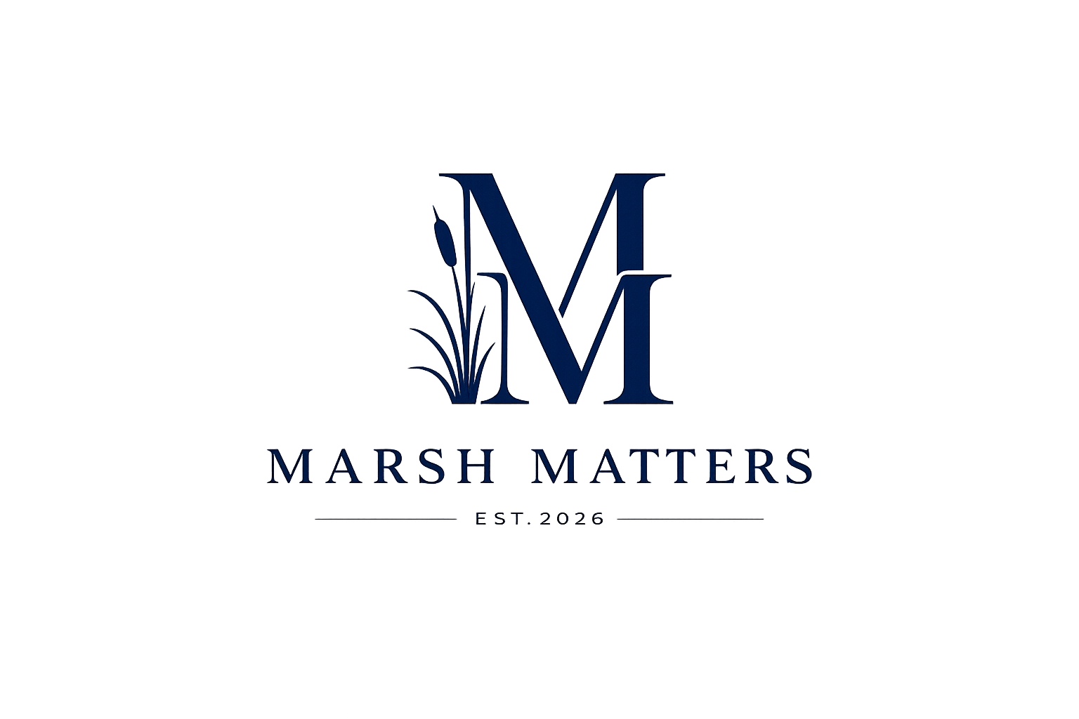 Marsh Matters